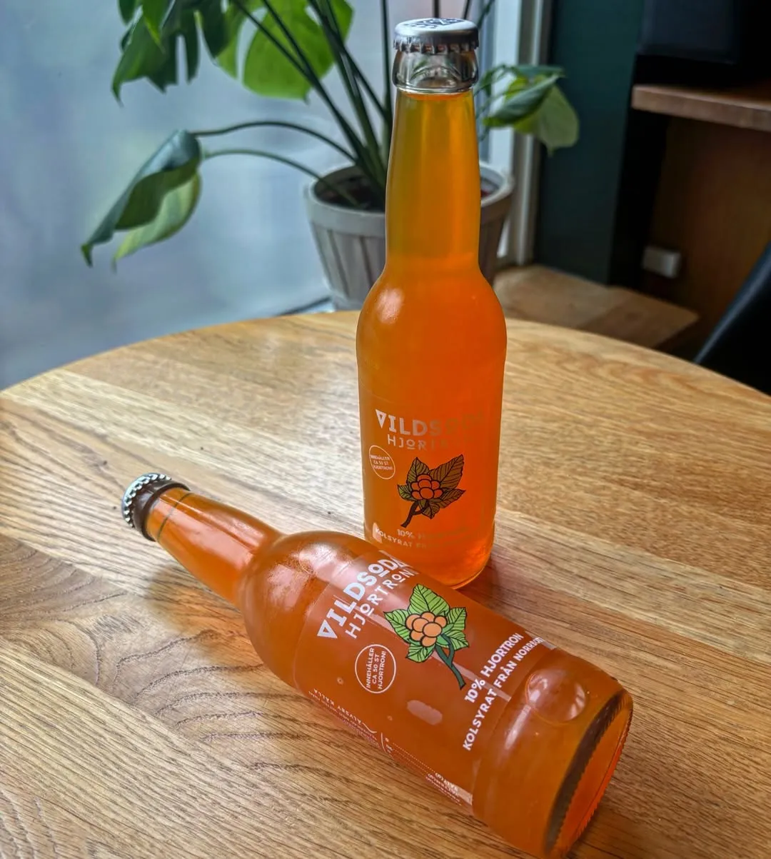 Interiör från Gamla Bibliotekscaféet med mysig atmosfär